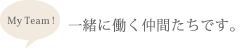 My Team !　一緒に働く仲間たちです。